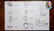 Easy human body parts drawing for beginners