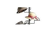 Freestanding Hats Rack Stand Metal Hats Display Stand with 15 Customizable Circular Hooks for Home or Commercial(Black)