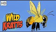 Wild Kratts 🍯🐝 The Toughest Honey Bees | Kids Videos