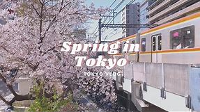 Spring in Tokyo, Cherry blossom viewing, aesthetic cafes, Nakameguro, teleworking |Tokyo Vlog