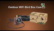 Outdoor WiFi Bird Box Camera Installation Guide