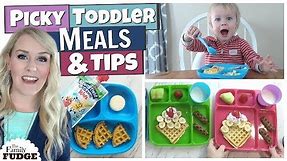 TODDLER MEALS + Easy HACKS to help PICKY Eaters 😃