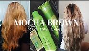 DIY Hair Color - MOCHA BROWN | November 2022