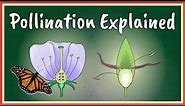 Pollination Explained