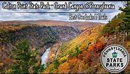 Colton Point State Park - Grand Canyon of Pennsylvania | Best Overlooks & Trails (2023)