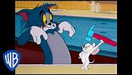 Tom & Jerry | The Dangerous White Mouse | Classic Cartoon | WB Kids