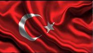 Turkey Flag 2014