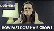 How Fast Does Hair Grow?