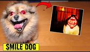 MY DOG TURNED INTO SMILE DOG | Facetiming Smile Dog at 3 AM Gone Wrong!!