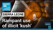 Sierra Leone drug abuse: Rampant use of illicit 'kush' destroying young lives • FRANCE 24 English
