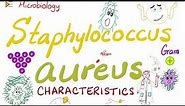 Staphylococcus aureus Characteristics | Microbiology 🧫 & Infectious Diseases 🦠