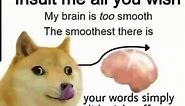 Insult me all you wish My brain is too smooth The smoothest there is your words right simply slide right off - iFunny