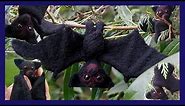 Needle felted Bat