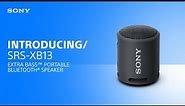 Introducing the Sony SRS-XB13 EXTRA BASS™ Portable Bluetooth® Speaker