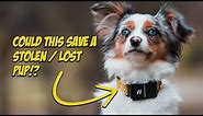 Fi Series 3 Smart Dog Collar | Review