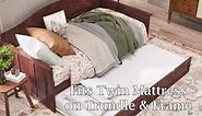 AFI Nantucket White Twin Solid Wood Daybed with Twin Trundle AG111222