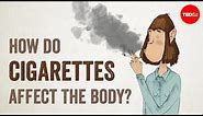 How do cigarettes affect the body? - Krishna Sudhir