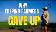 COMMON PROBLEMS OF FILIPINO FARMERS IN THE PHILIPPINES 2022 | Earth on Core
