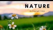 Beautiful Nature | Landscape | Background Video | No Copyright