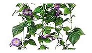 FERIAL Artificial Vines 15Feet Silk Flower Garland for Outdoors Purple Morning Glory Vine Artificial Flowers Hanging Plants Garland Fake Green Plant 2Pcs for Wall Fence Indoor Wedding Banquet Decor…
