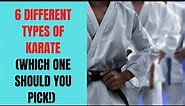 6 Different Types of Karate (Which one should you pick!)
