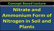 Nitrate and Ammonium Form of Nitrogen in Soil and Plants