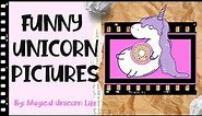 Funny Unicorn Pictures