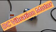 Variable speed DC vibration motor