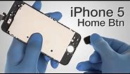 Home Button Flex Cable Repair - iPhone 5 How to Tutorial