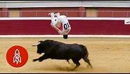 The Jaw-Dropping Art of Bull-Leaping