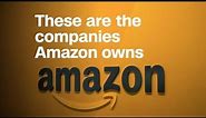 These are the companies Amazon owns