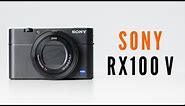Sony RX100 V In Depth Review
