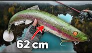 Casting (!!!) a 62 cm / 1,2 kg Swimbait for River Beasts... 🦖