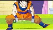 goku peleando