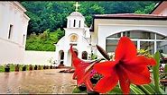 Exploring MONASTERIES and THE HOLY MOUNTAIN Fruska Gora | vojvodina, serbia | ENJOY WATCH