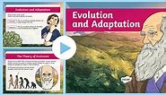 Y6 Evolution and Adaptation PowerPoint