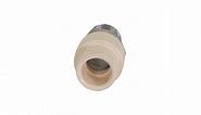 Supply Giant TTDQN034 Male x CPVC Adapter Transition Pipe
