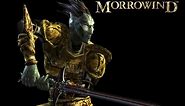 Morrowind Male Dark Elf Responses