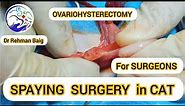 COMPLETE SPAYING SURGERY IN CAT | VET SURGEONS | Dr REHMAN BAIG