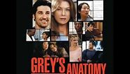 Greys Anatomy Soundtrack Vol 1_01_The Postal Service_Such Great Heights.wmv