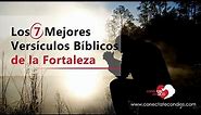 💪 Los 7 Mejores Versículos Bíblicos de la Fortaleza (Textos de la Biblia de Fortalecimiento)