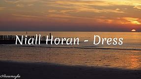 Niall Horan - Dress (Lyrics)