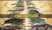 CROCODILIANS - Size Comparison, Crocodiles, alligators, caimans & gharial.