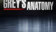 Grey's Anatomy: Season 9 Episode 1 Going, Going, Gone