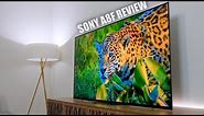 Sony A8F 4K OLED TV Review After 2 Months (AF8)