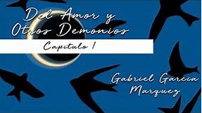GABRIEL GARCIA MARQUEZ: DEL AMOR Y OTROS DEMONIOS - CAPITULO 1/5 (Voz Humana)