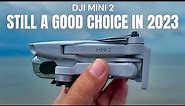 DJI Mini 2 - Still A Good Choice in 2023?
