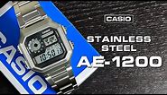 Stainless Steel Casio Royale AE-1200 Mod