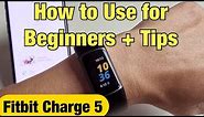Fitbit Charge 5: How to Use for Beginners + Tips
