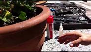 Learn How to repair a cracked clay pot / broken parts fast ! How to fix broken pots